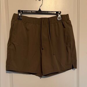 Hollister Brown Men Shorts